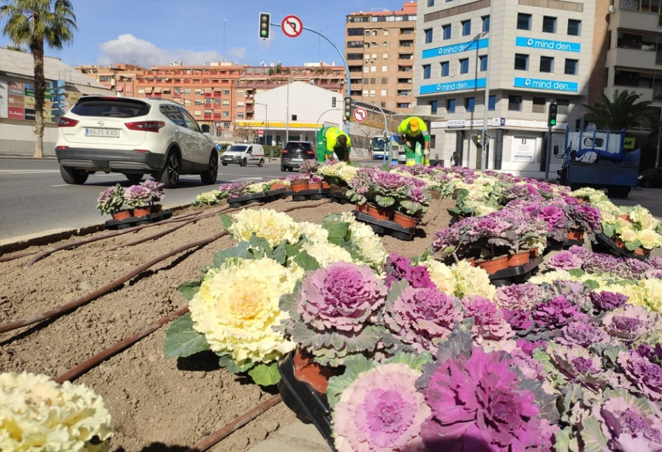 El Ayuntamiento renueva los tapices de flores con la plantación de cerca de cuatro mil plantas en los parterres y jardineras de la ciudad