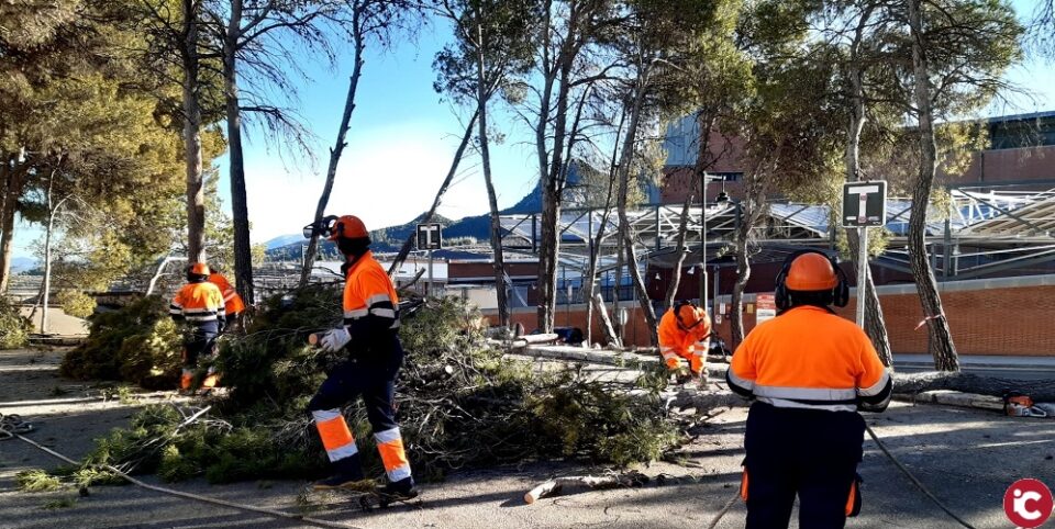 La Brigada Forestal d'Avalem fa diversos treballs a la nostra ciutat