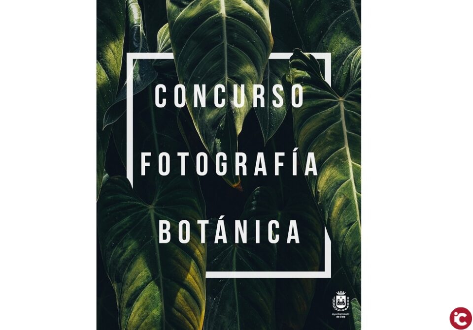 El Ayuntamiento de Elda repartirá cientos de plantones en los centros educativos para que los alumnos y las alumnas celebren el Día del Árbol