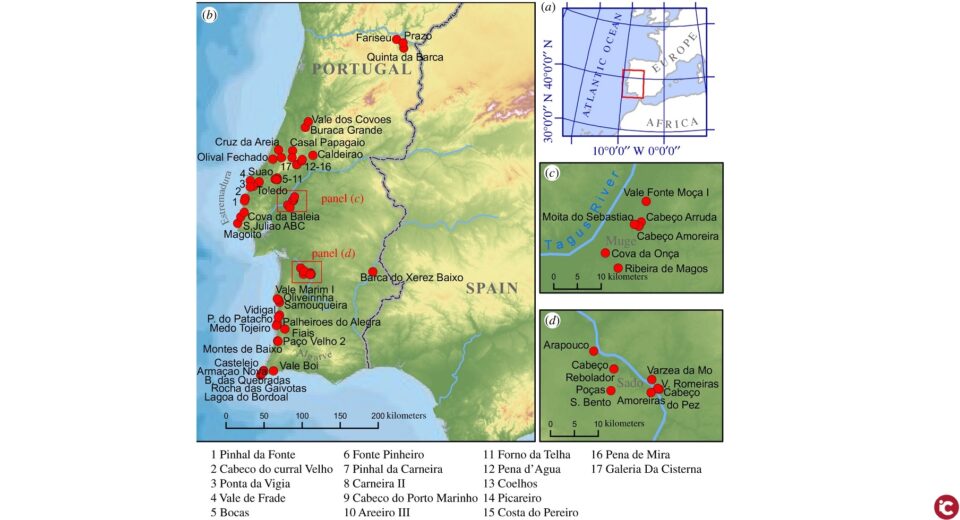 Reconstrueixen les dinàmiques demogràfiques de les últimes poblacions de caçadors recol·lectors de Portugal durant el plistocè-holocè