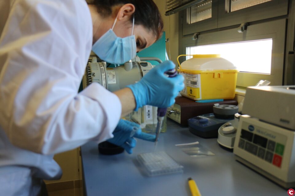 La Universitat d'Alacant aconsegueix el Segell Internacional de Qualitat Eurobachelor per al grau en Química