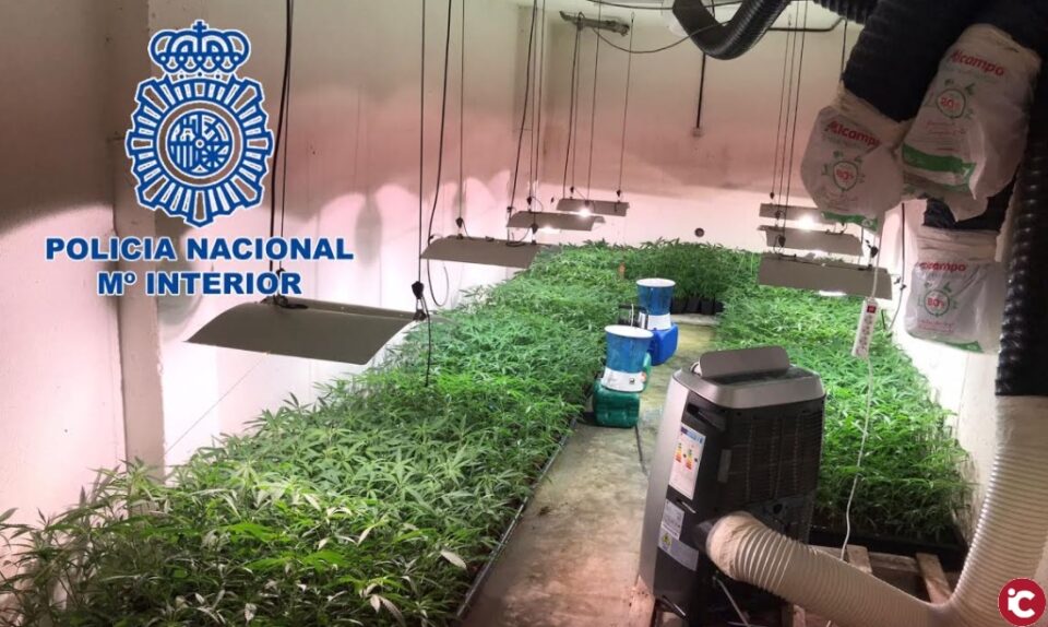 La Policía Nacional desarticula un grupo criminal dedicado a la plantación