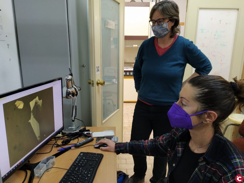 Investigadores de la UA publiquen un article sobre un nou material 2D amb una àmplia resposta fotoelèctrica