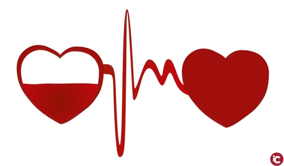El projecte Sang Valentí dAlcoi ompli de solidaritat les aules i enguany supera les expectatives