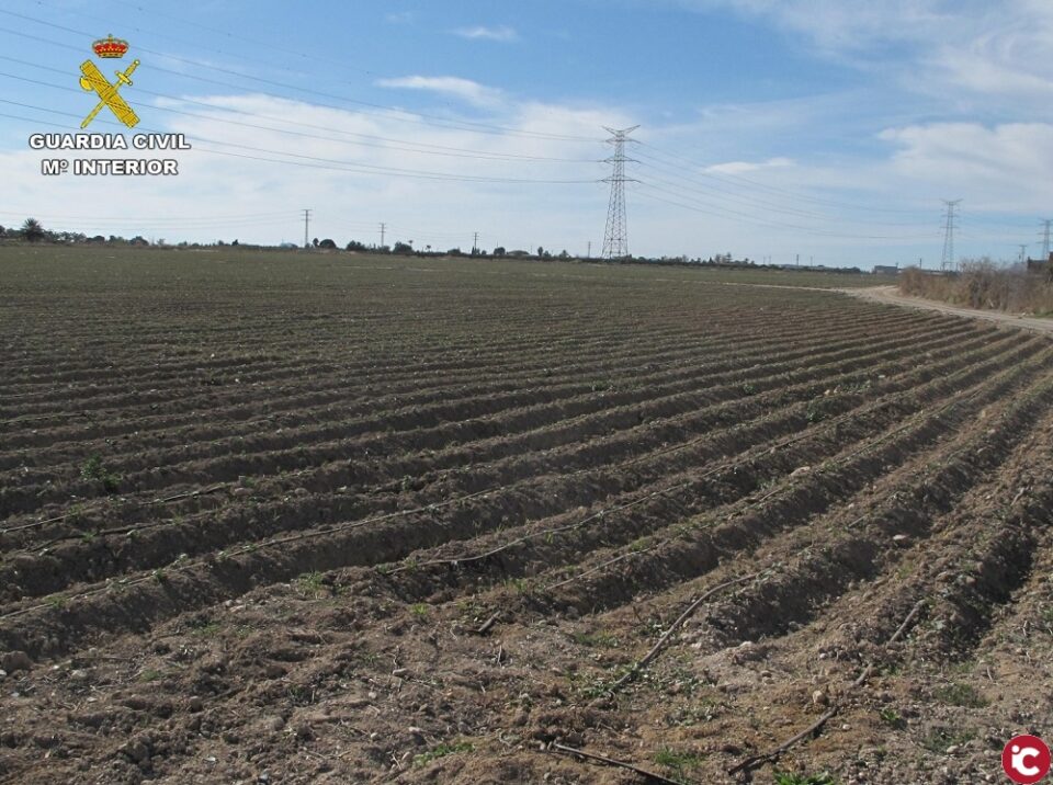 La Guardia Civil investiga a dos personas por el uso indebido de veneno