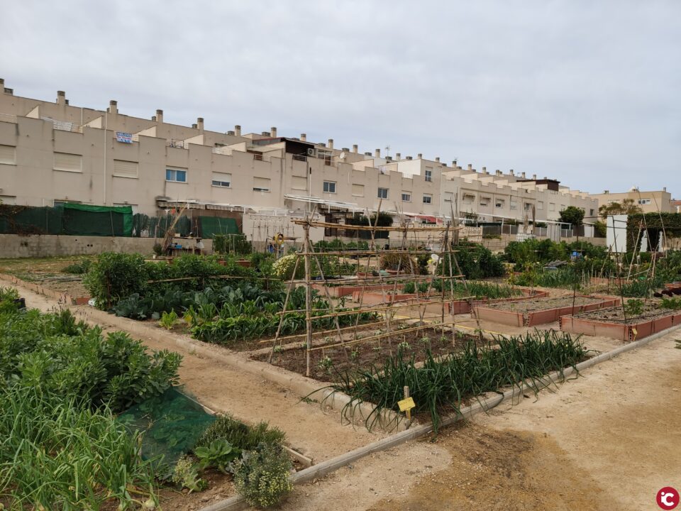 Los 167 aspirantes a cultivar un minihuerto urbano participarán en el sorteo del próximo viernes 12