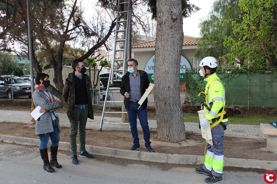 Novelda instala una treintena de cajas refugio de murciélagos para ayudar en el control de plagas de insectos