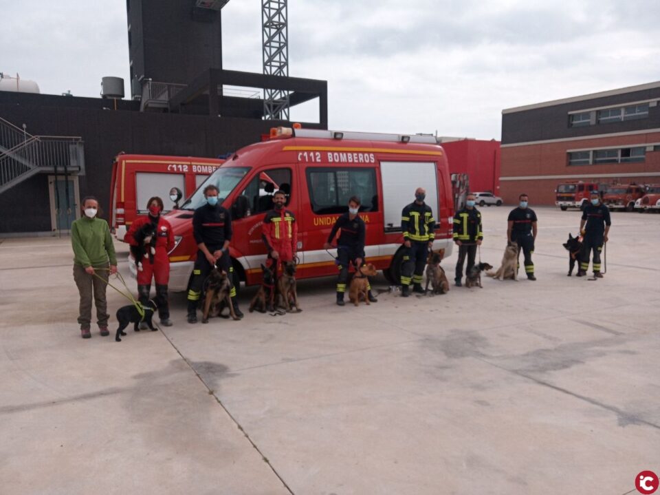 Las unidades Caninas de bomberos del SPEIS y Consorcio junto con el GERCA entrenan para mejorar su rendimiento en la búsqueda de personas