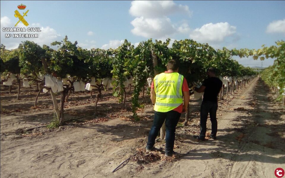 Monforte del Cid finaliza la campaña de vigilancia rural con un balance positivo