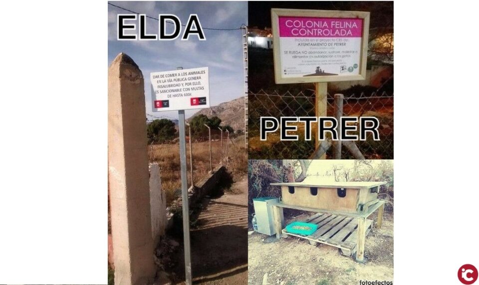 Gatitos en Apuros en desacuerdo por las multas de hasta 600 euros por alimentar animales en la vía pública