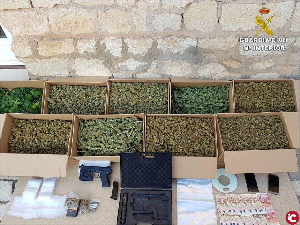 La Guardia Civil desmantela en Novelda un cultivo hidropónico de marihuana