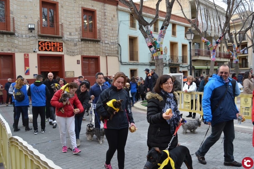 Este domingo Petrer celebra la Romería de San Antón