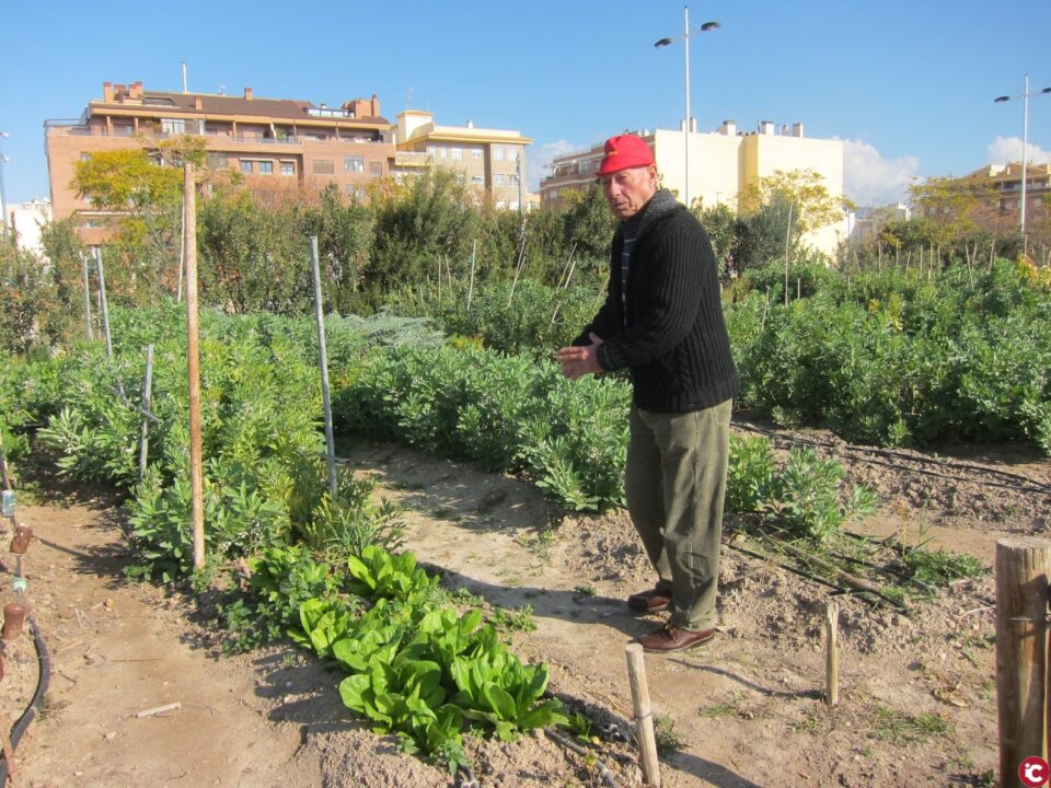 Se abre el plazo para la solicitud de parcelas en los Huertos Ecológicos Municipales