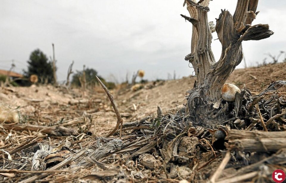 El profesor Álvaro Morote hablará de la sequía y escasez de agua en Alicante