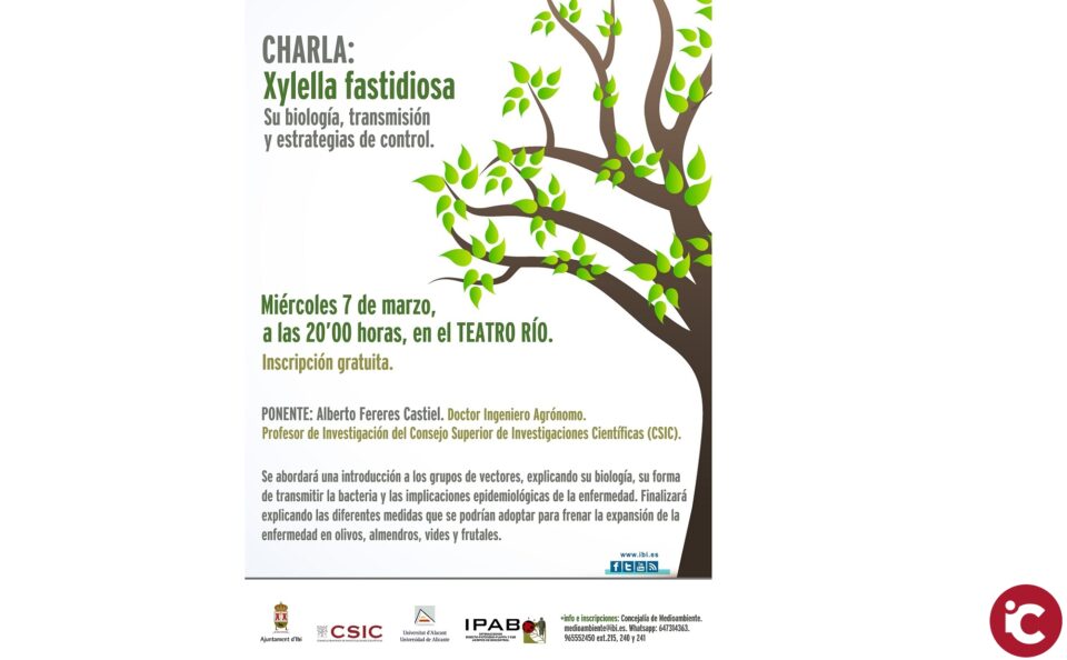 Charla informativa en Ibi sobre la Xylella fastidiosa