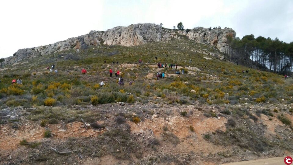 Serelles acull una jornada formativa per incidir en la repoblació forestal