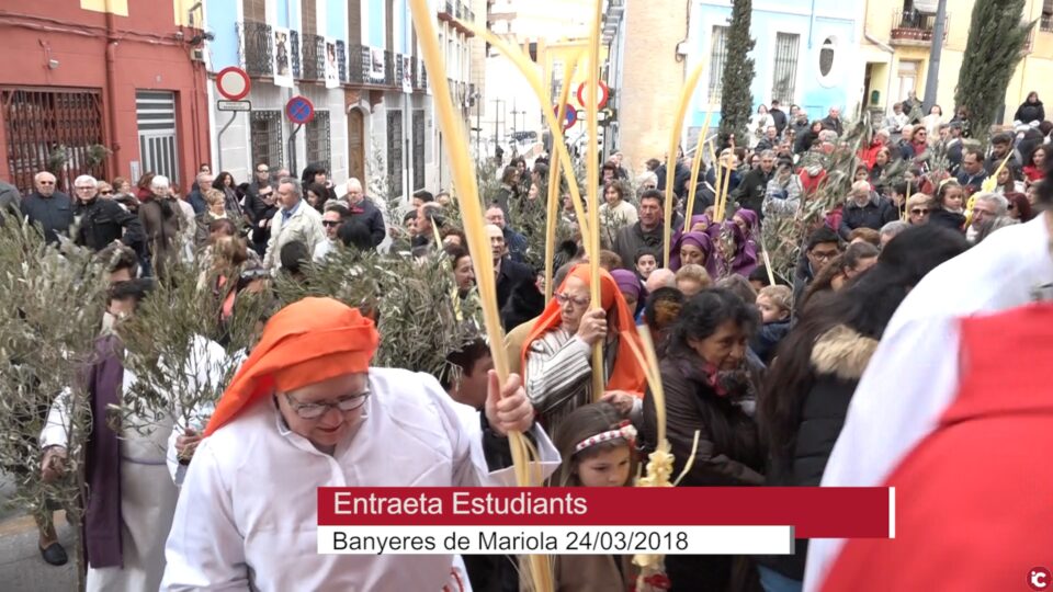Reportajes de la celebración del Domingo de Ramos en Elda