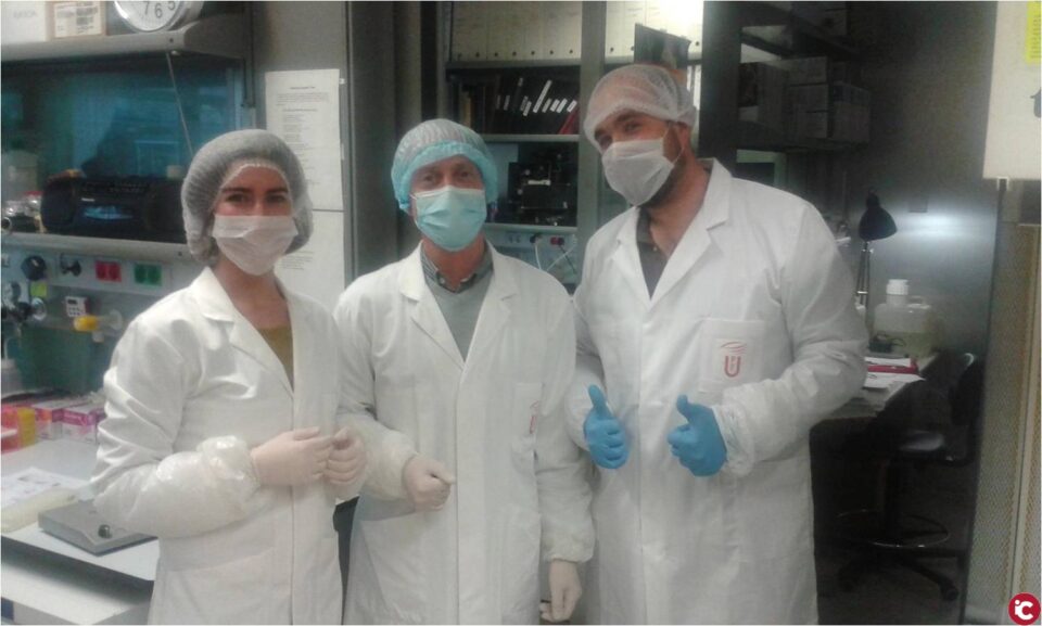 Una tècnica pionera introduïda per investigadors de la Universitat d'Alacant i la Pompeu Fabra descobreix virus presents a la saliva