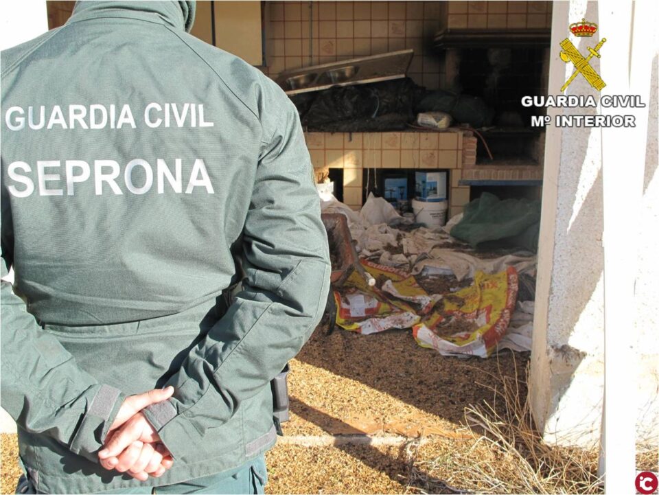La Guardia Civil investiga en Muchamiel el estado de abandono de 7 caballos