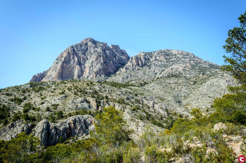 AVIANA EN EL PUIG CAMPANA 22-4-2018