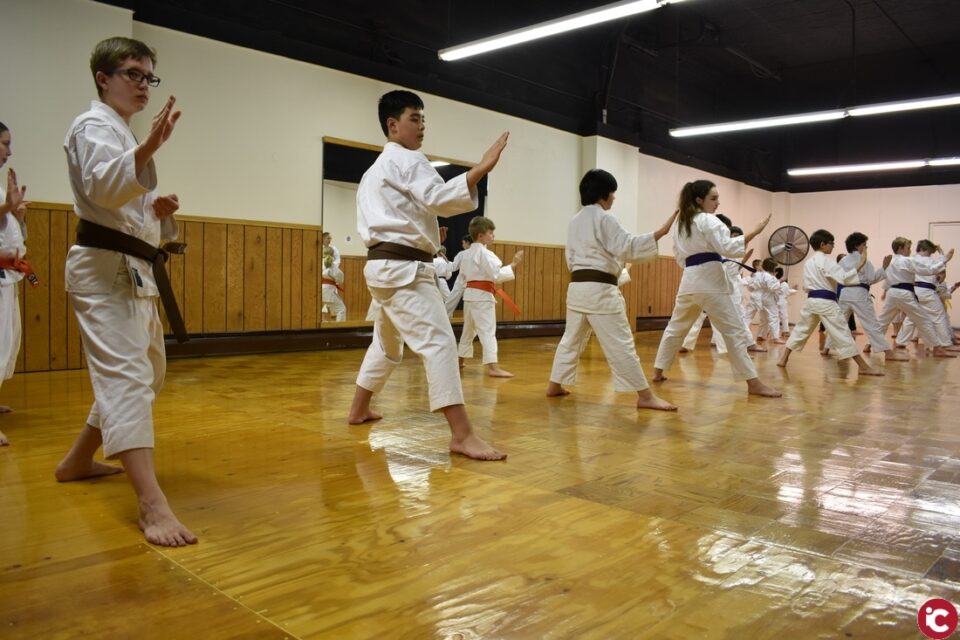 300 Karatecas se citan este sábado en Aspe en el trofeo primavera