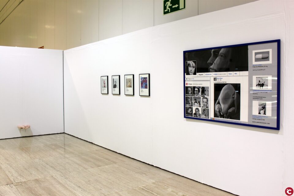 El MUA i el Juan Gil Albert inauguren la nova edició de Trobades d'Art Contemporani