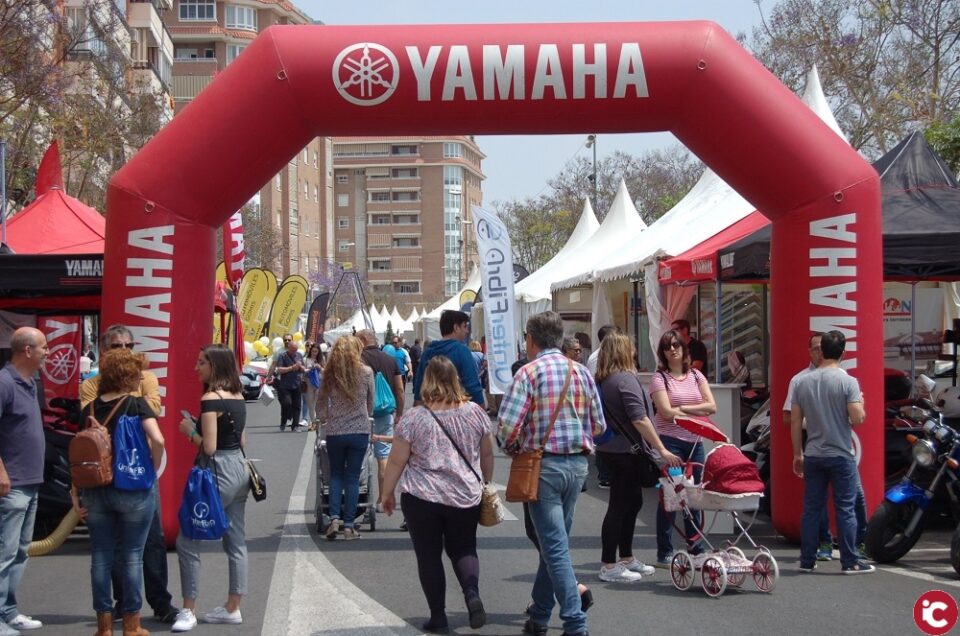 Lo mejor de San Vicente