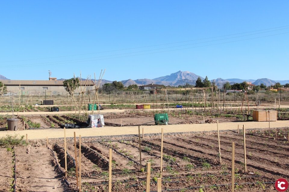 Los usuarios de los huertos urbanos de San Vicente se forman en agricultura ecológica