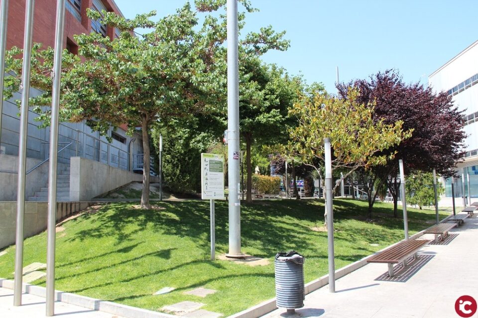 Medio Ambiente amplía el contrato de mantenimiento de zonas verdes y aumenta el control biológico contra las plagas