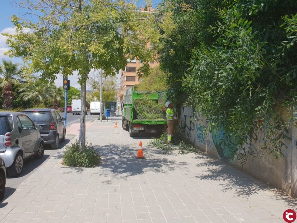 El Ayuntamiento de Alicante pone en marcha un plan de choque de desbroce en más de cien calles y pedanías de la ciudad de Alicante durante dos semanas