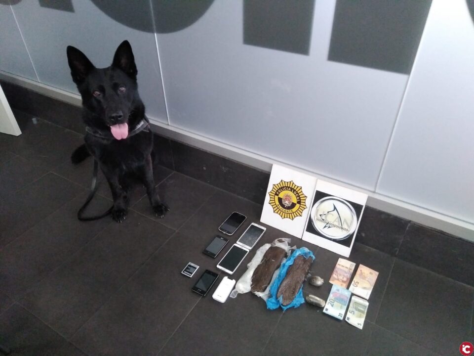 La Unidad Canina de la Policía Local de Alicante detiene a una persona de 60 años en la estación de autobuses con más de 1kg de hachís oculto en el interior de la plantilla de una zapatilla