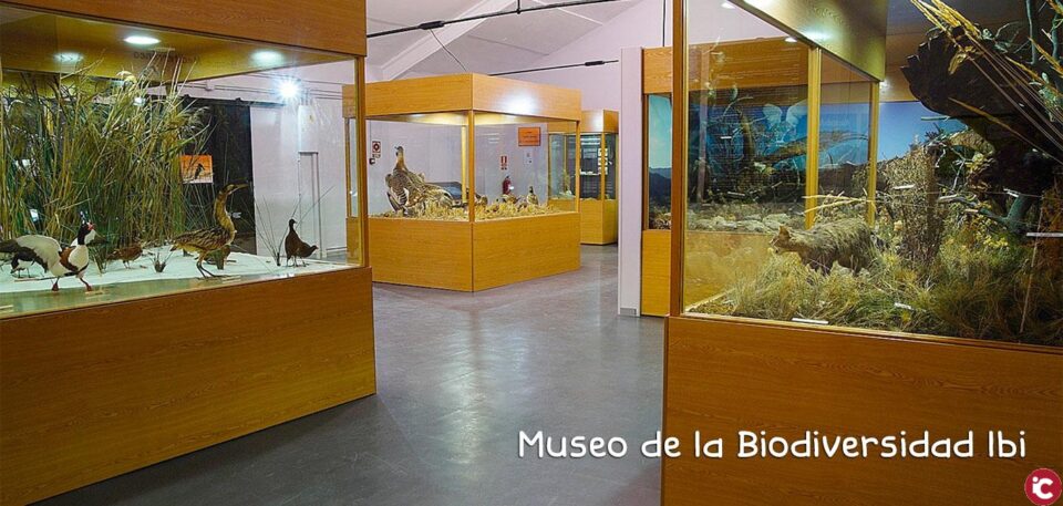 El Museo de la Biodiversidad de Ibi