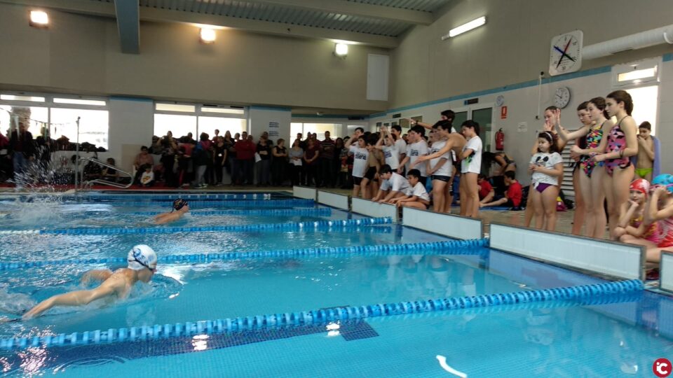El Club Natación Villena en la fase provincial de los Jocs Esportius