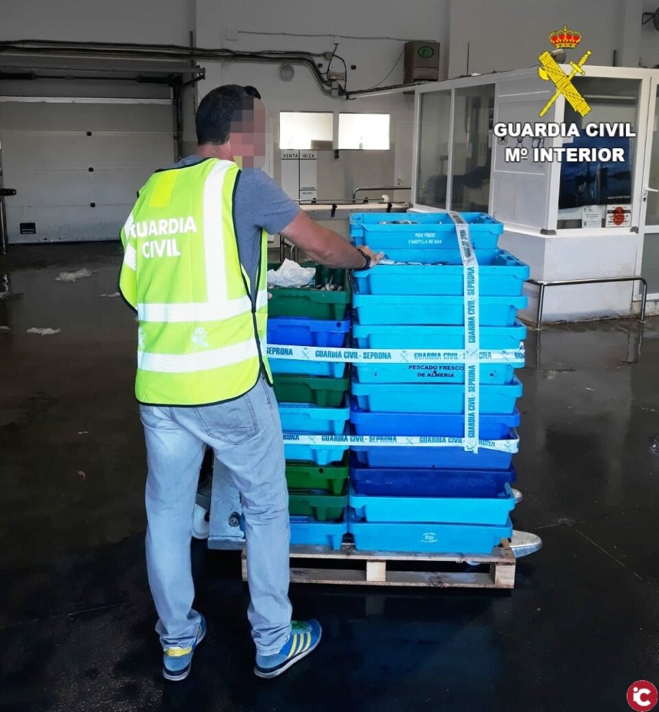 La Guardia Civil incauta más de una tonelada de pescado ilegal en Calpe y Cox