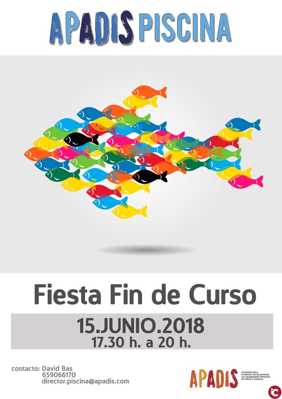 Un completísimo verano en la Piscina APADIS