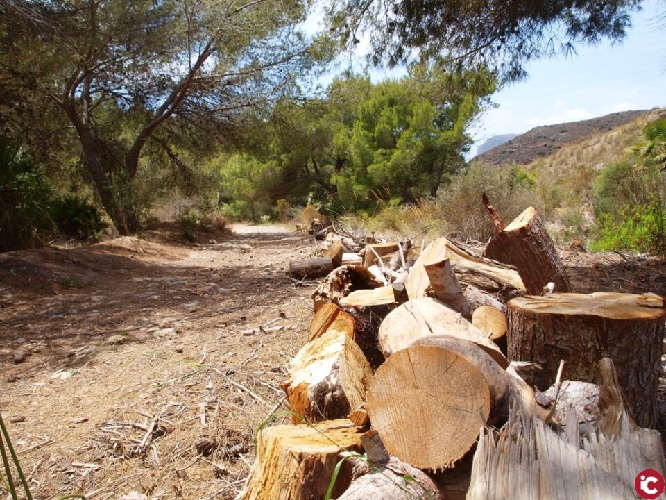 Aviana en el Algar y Batería de Cenizas de Cartagena