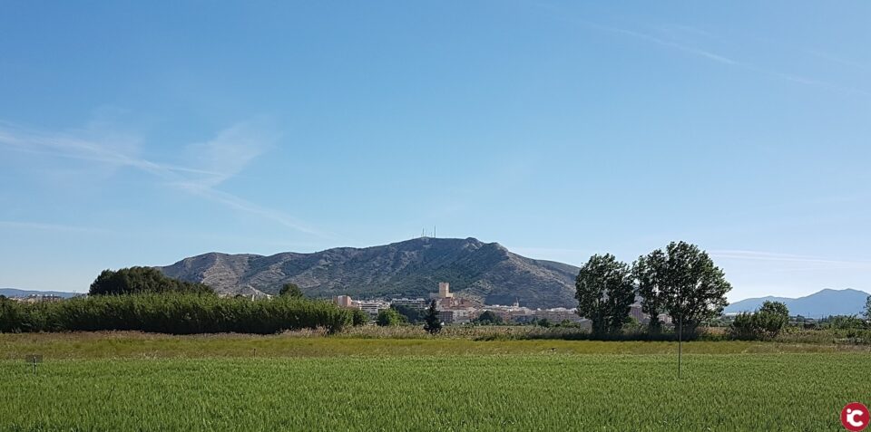 Villena reivindica el Día Mundial del Medio Ambiente