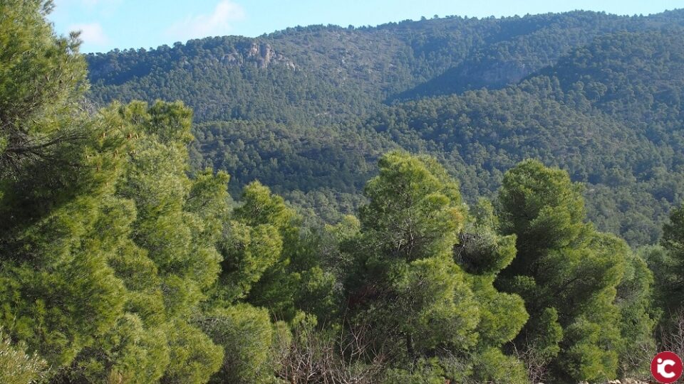 La asociación de colonos de la Sierra de Salinas organiza su jornada de convivencia