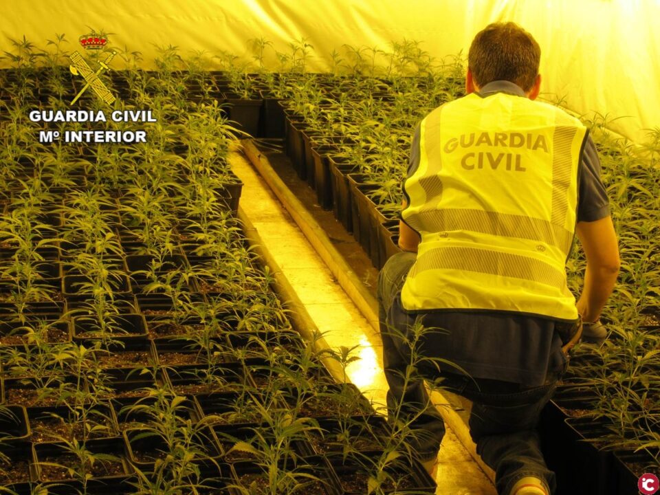 La Guardia Civil desmantela en Alicante una de las organizaciones más modernas en el cultivo de marihuana y detiene a sus 13 miembros
