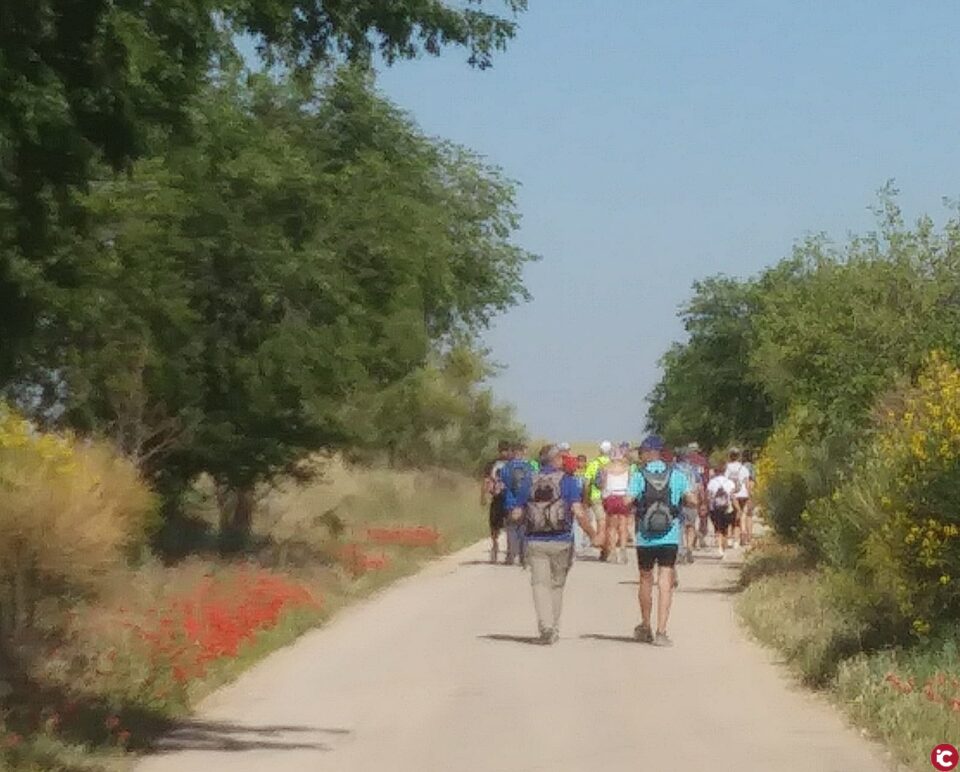 Asociación Amigos del Camino de Santiago - 10ª Etapa del camino de Santiago del Sureste
