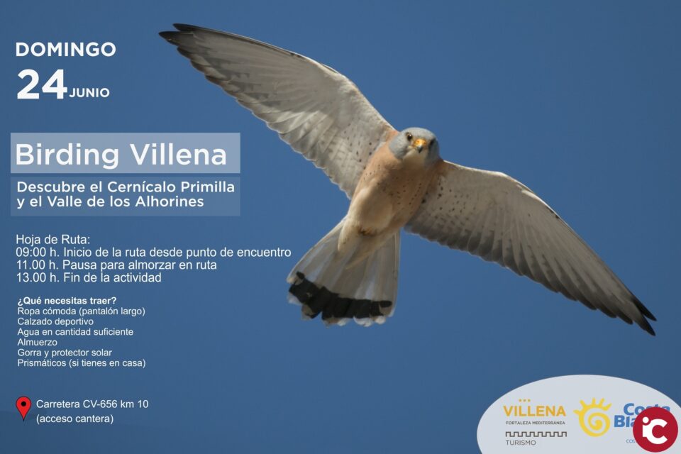 Jornada de turismo ornitológico en Villena