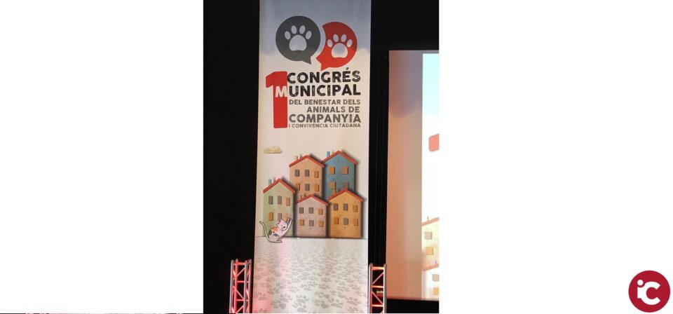 San Vicente participa en el primer Congreso sobre Bienestar animal y convivencia ciudadana