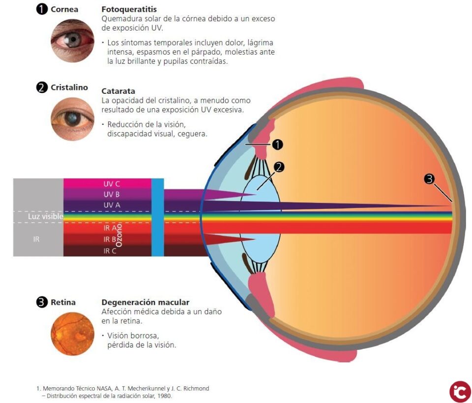 Los próximos días 20