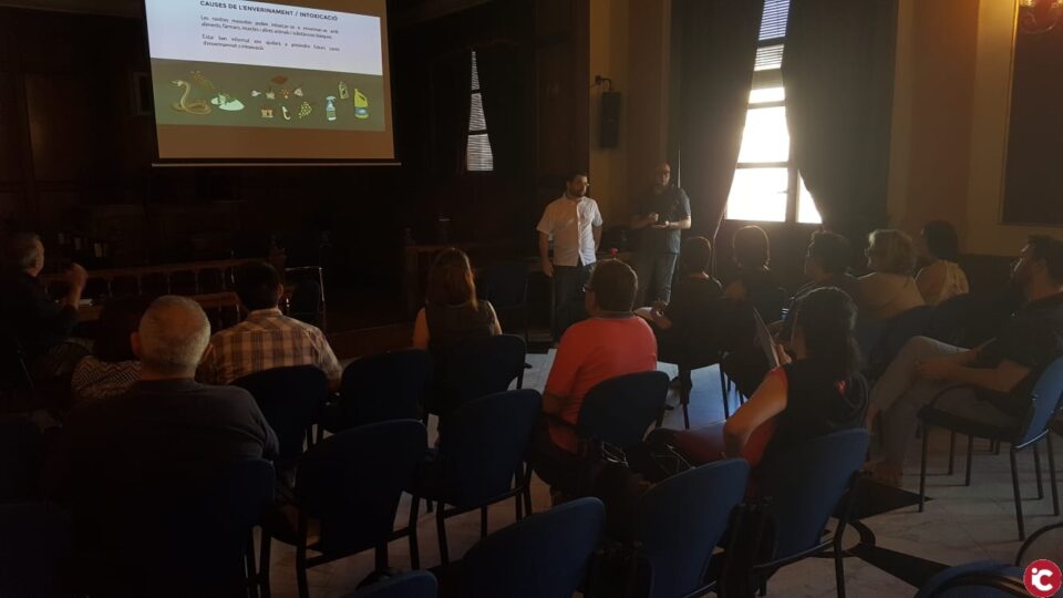 Reunión de l'Observatori Municipal per a la protección dels animals