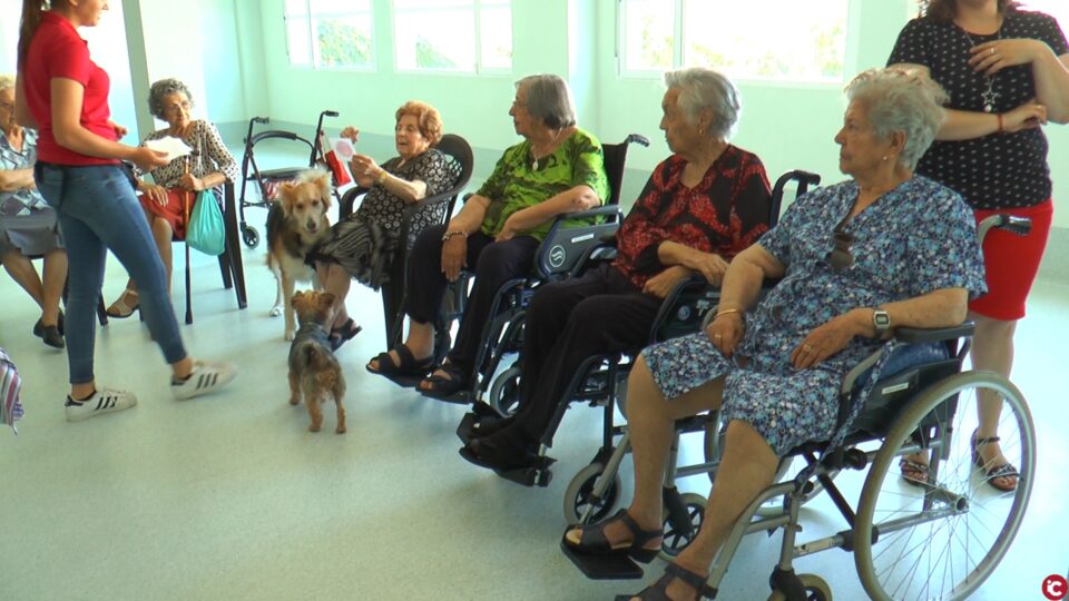 La Molineta incluye la terapia canina para sus residentes gracias a una ayuda de una entidad bancaria.