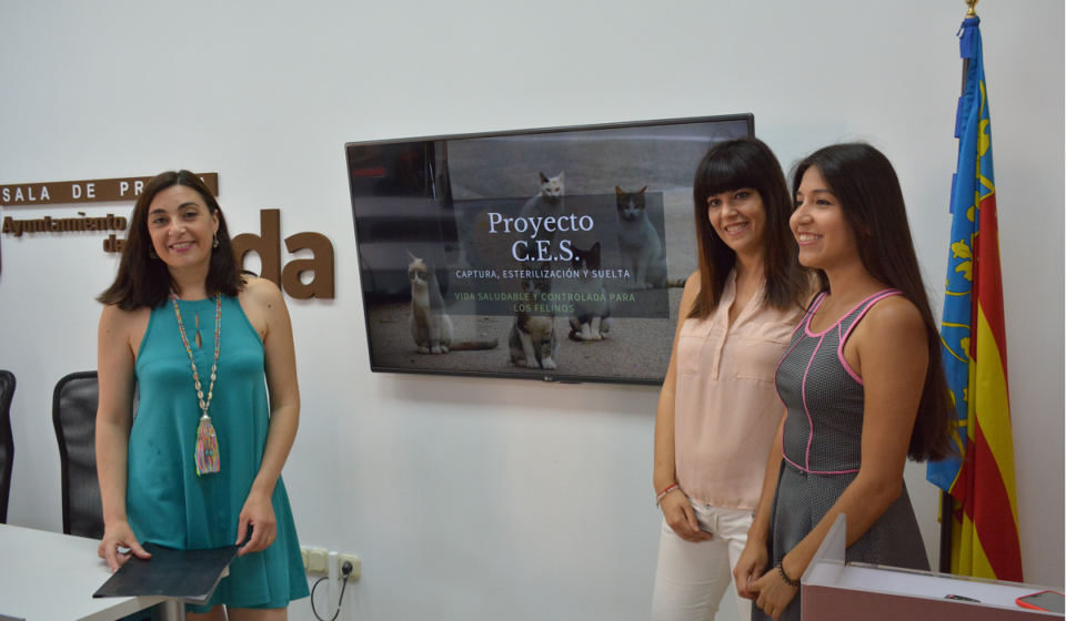 Ayuntamiento y asociación Gatitos en Apuros inician el proyecto de castración y alimentación controlada de las colonias de felinos