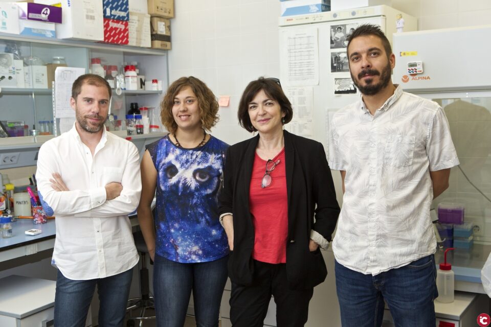 La UA participa a ESOF 2018