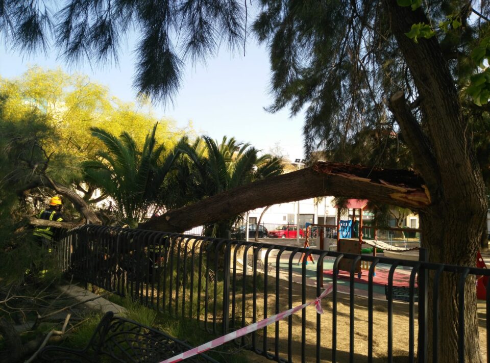 Cae una rama en el Parque de Las 300 de Elda que deja 5 heridos