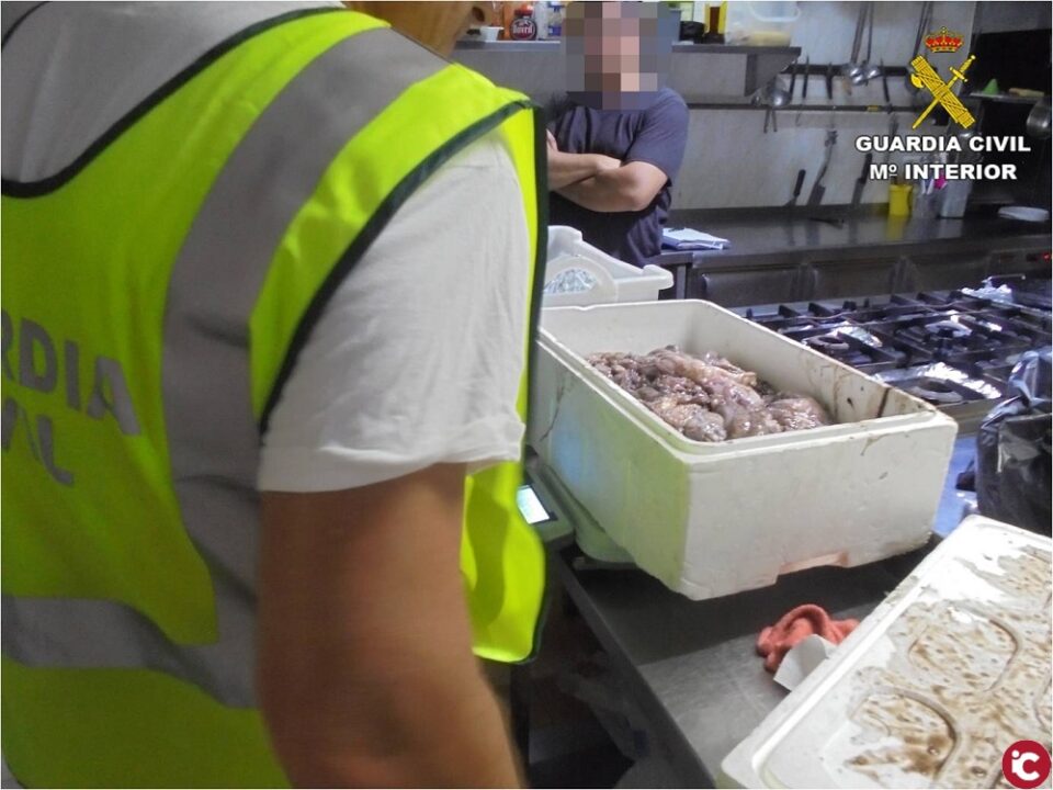 La Guardia Civil incauta cerca de 300 kilos de pulpo por carecer de trazabilidad en dos restaurantes de Arenales del Sol
