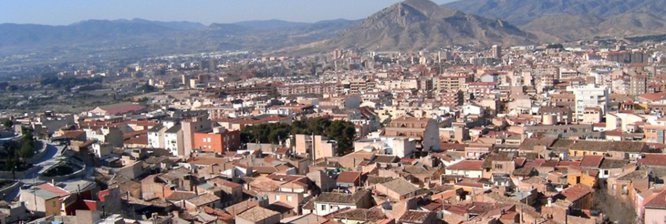 Nueva caída de árboles y ramas